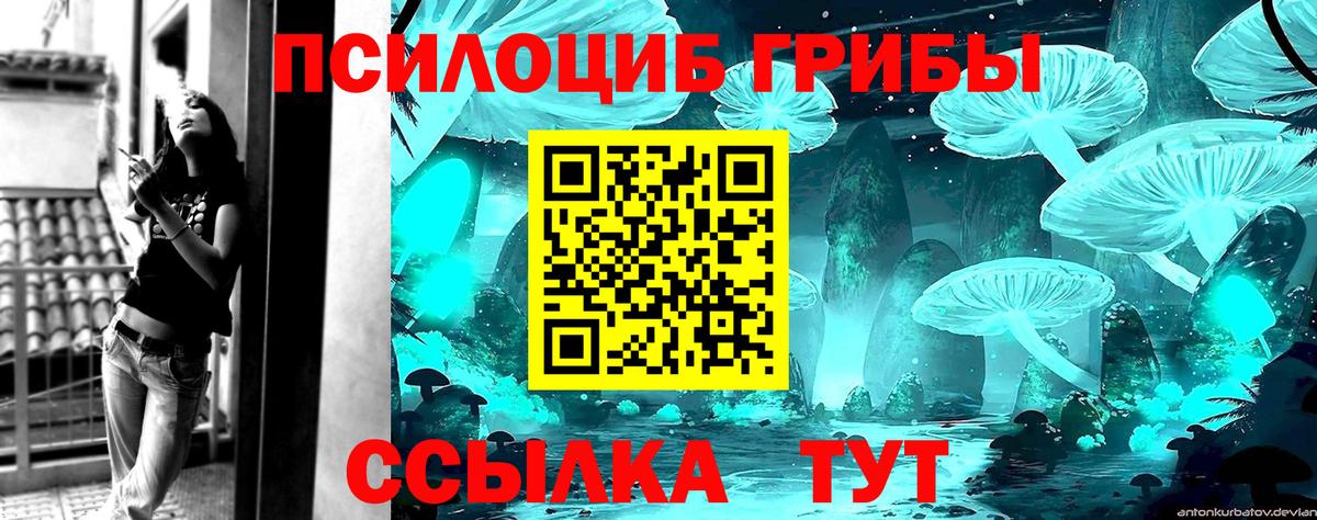 Псилоцибиновые грибы GOLDEN TEACHER  Галлюциногенные грибы прущие грибы  Верхняя Пышма  Вход с VPN 